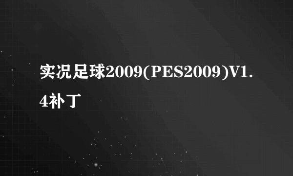 实况足球2009(PES2009)V1.4补丁