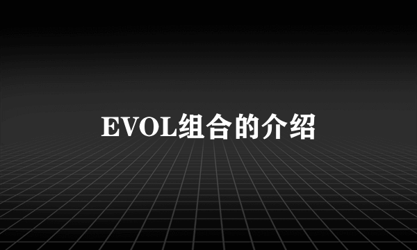 EVOL组合的介绍