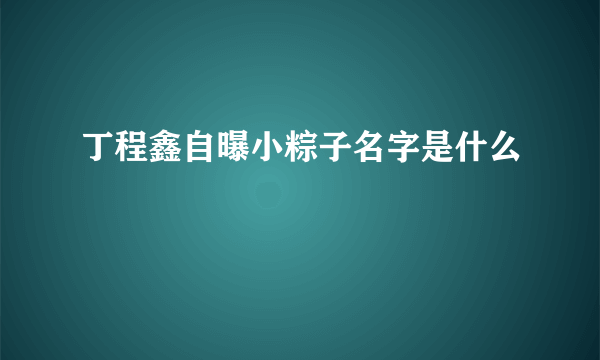 丁程鑫自曝小粽子名字是什么