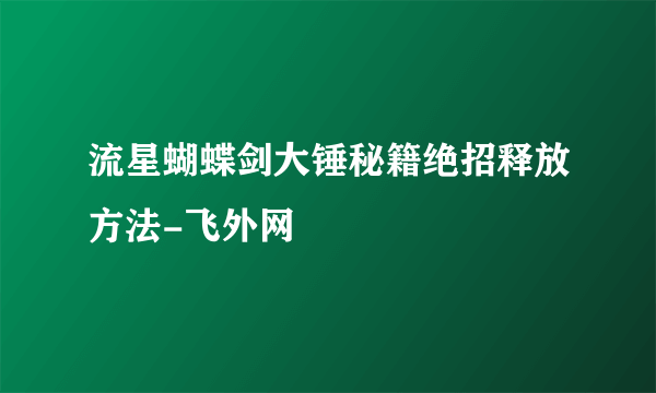 流星蝴蝶剑大锤秘籍绝招释放方法-飞外网