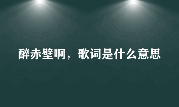 醉赤壁啊，歌词是什么意思