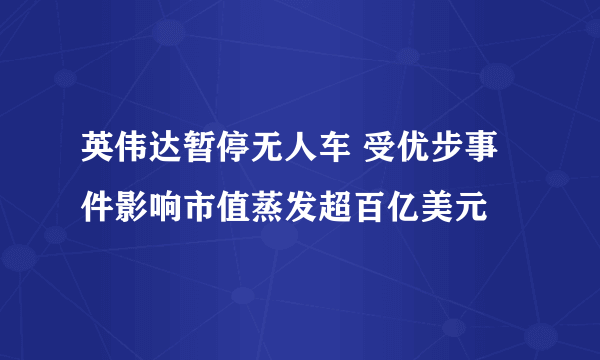 英伟达暂停无人车 受优步事件影响市值蒸发超百亿美元