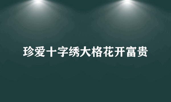 珍爱十字绣大格花开富贵