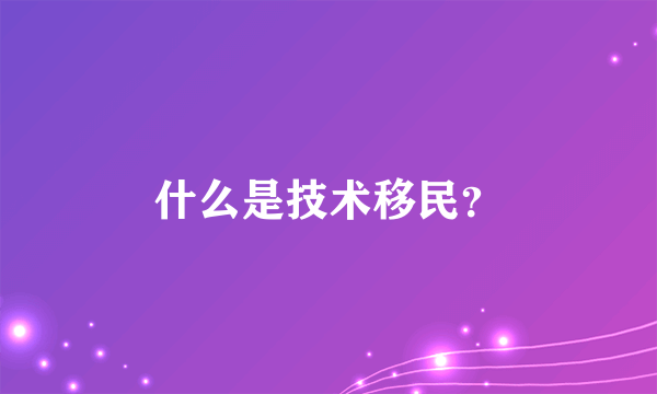 什么是技术移民？