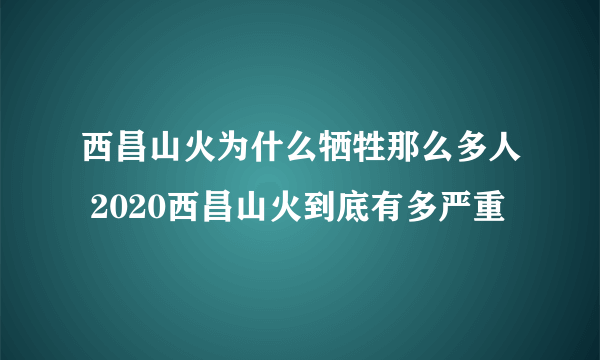 西昌山火为什么牺牲那么多人 2020西昌山火到底有多严重