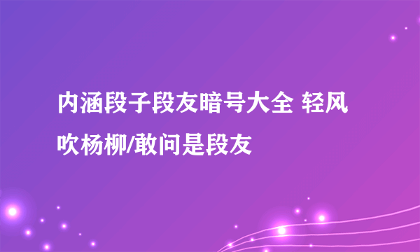 内涵段子段友暗号大全 轻风吹杨柳/敢问是段友