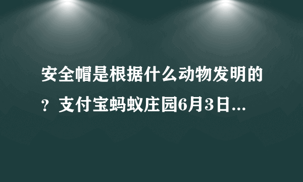 安全帽是根据什么动物发明的？支付宝蚂蚁庄园6月3日今日答案