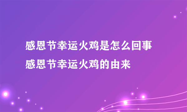 感恩节幸运火鸡是怎么回事 感恩节幸运火鸡的由来