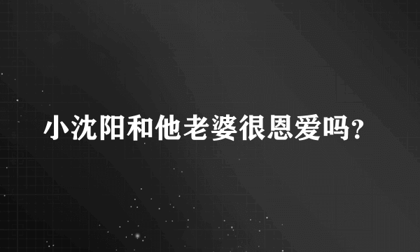 小沈阳和他老婆很恩爱吗？