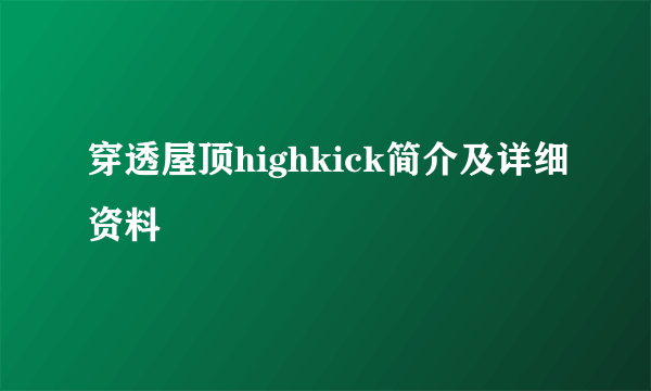 穿透屋顶highkick简介及详细资料