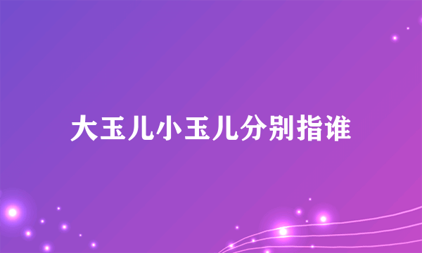 大玉儿小玉儿分别指谁