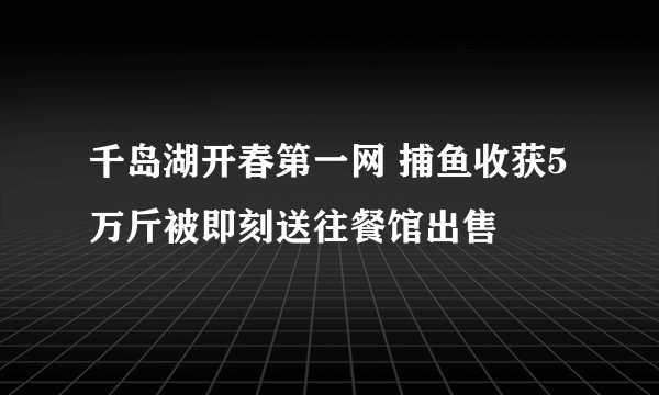 千岛湖开春第一网 捕鱼收获5万斤被即刻送往餐馆出售