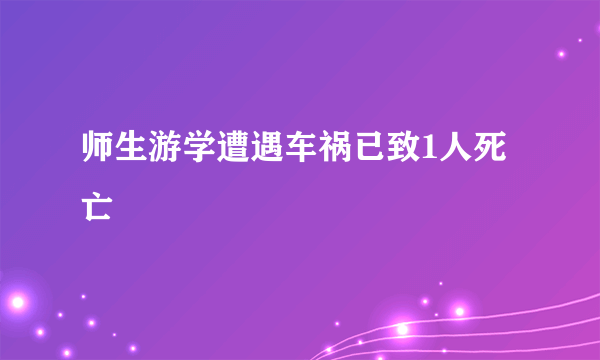 师生游学遭遇车祸已致1人死亡