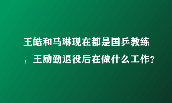 王皓和马琳现在都是国乒教练，王励勤退役后在做什么工作？