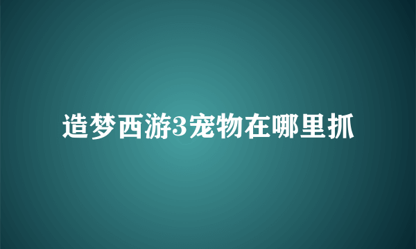 造梦西游3宠物在哪里抓