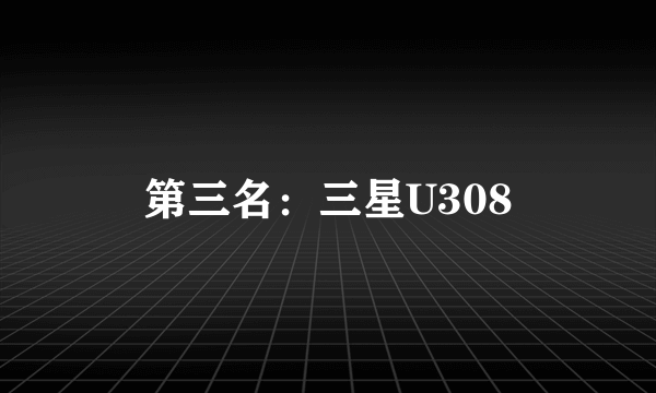 第三名：三星U308