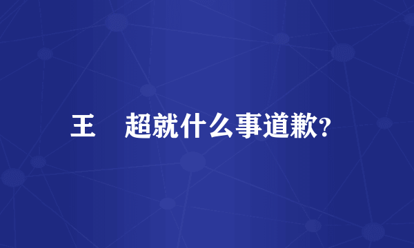 王燊超就什么事道歉？