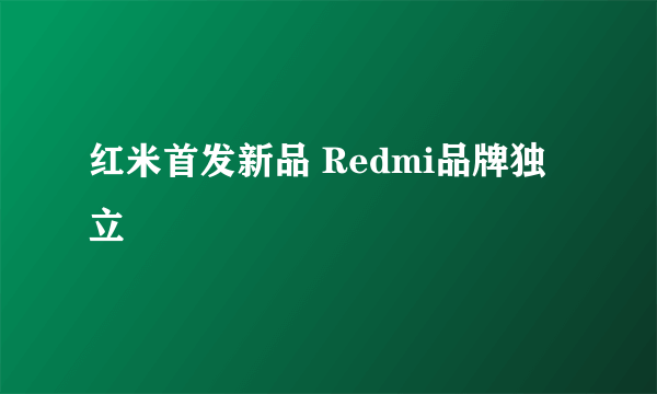 红米首发新品 Redmi品牌独立