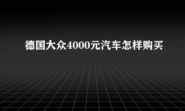 德国大众4000元汽车怎样购买