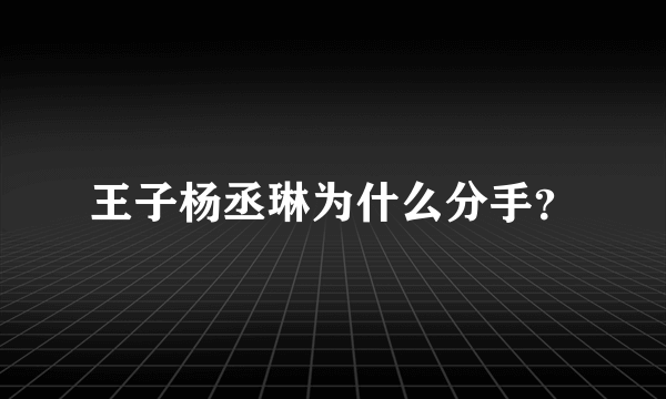 王子杨丞琳为什么分手？