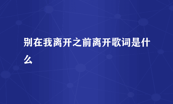 别在我离开之前离开歌词是什么