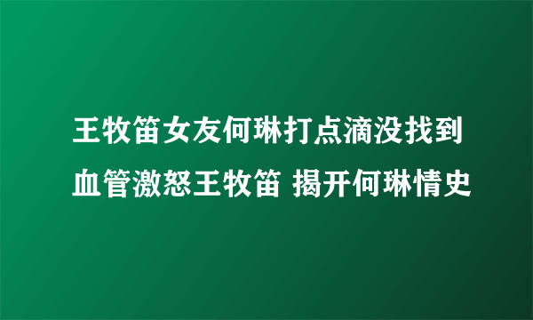 王牧笛女友何琳打点滴没找到血管激怒王牧笛 揭开何琳情史