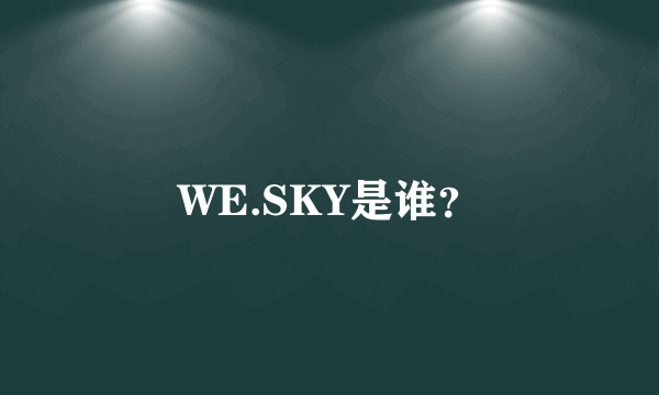 WE.SKY是谁？