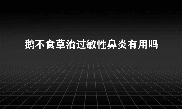 鹅不食草治过敏性鼻炎有用吗