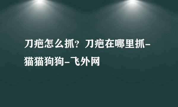 刀疤怎么抓？刀疤在哪里抓-猫猫狗狗-飞外网