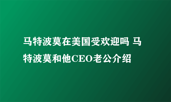 马特波莫在美国受欢迎吗 马特波莫和他CEO老公介绍