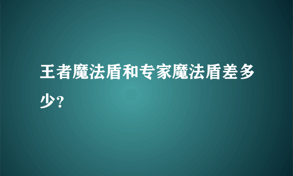 王者魔法盾和专家魔法盾差多少？