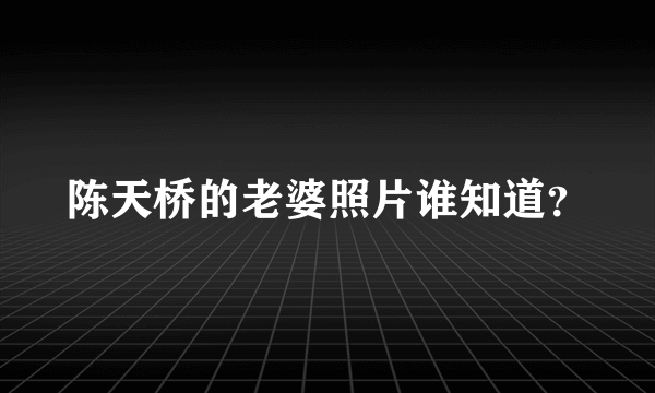 陈天桥的老婆照片谁知道？