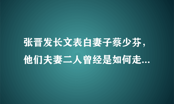 张晋发长文表白妻子蔡少芬，他们夫妻二人曾经是如何走到一起的？