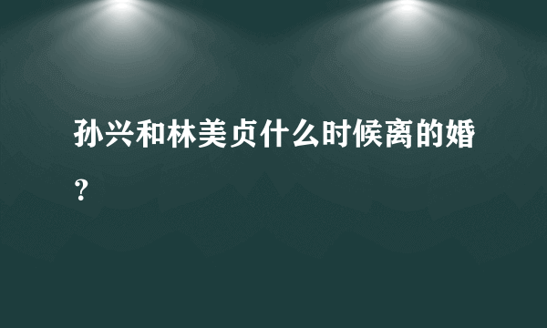 孙兴和林美贞什么时候离的婚？