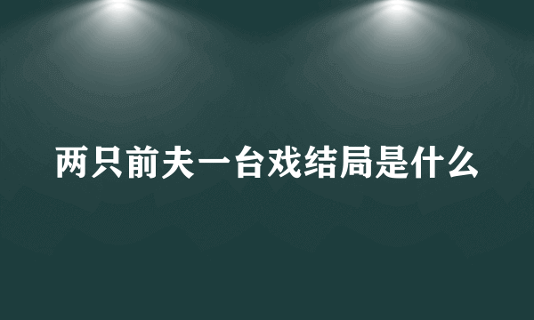 两只前夫一台戏结局是什么