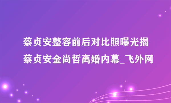 蔡贞安整容前后对比照曝光揭蔡贞安金尚哲离婚内幕_飞外网