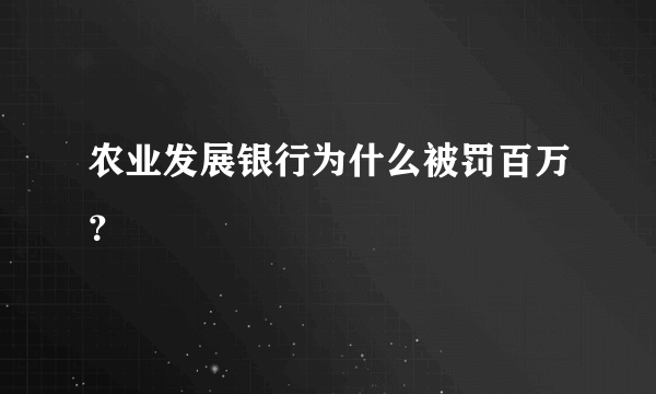 农业发展银行为什么被罚百万？