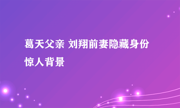 葛天父亲 刘翔前妻隐藏身份惊人背景