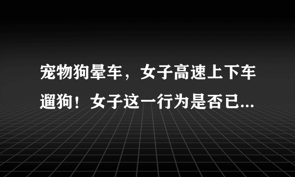 宠物狗晕车，女子高速上下车遛狗！女子这一行为是否已经违法了？