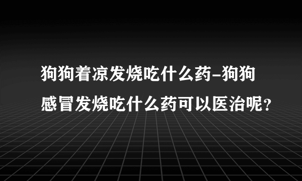 狗狗着凉发烧吃什么药-狗狗感冒发烧吃什么药可以医治呢？