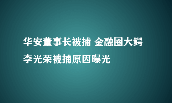 华安董事长被捕 金融圈大鳄李光荣被捕原因曝光