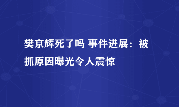 樊京辉死了吗 事件进展：被抓原因曝光令人震惊