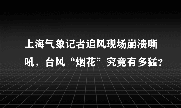 上海气象记者追风现场崩溃嘶吼，台风“烟花”究竟有多猛？