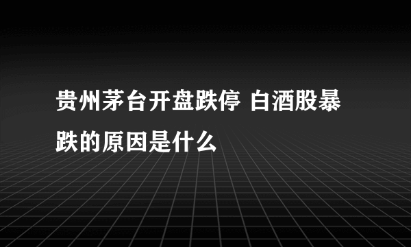 贵州茅台开盘跌停 白酒股暴跌的原因是什么