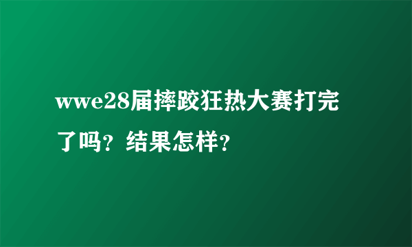 wwe28届摔跤狂热大赛打完了吗？结果怎样？