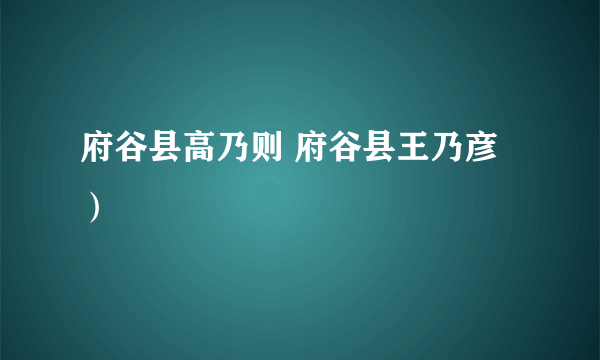 府谷县高乃则 府谷县王乃彦）