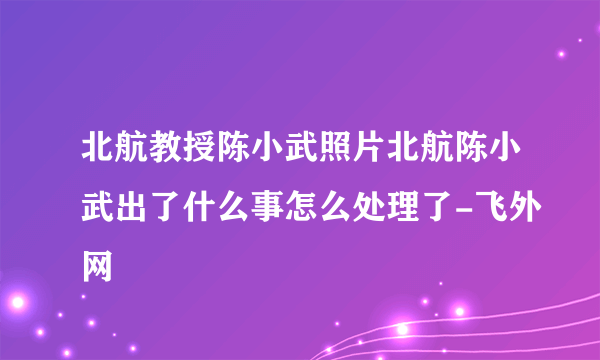 北航教授陈小武照片北航陈小武出了什么事怎么处理了-飞外网