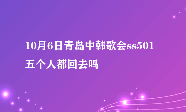 10月6日青岛中韩歌会ss501五个人都回去吗