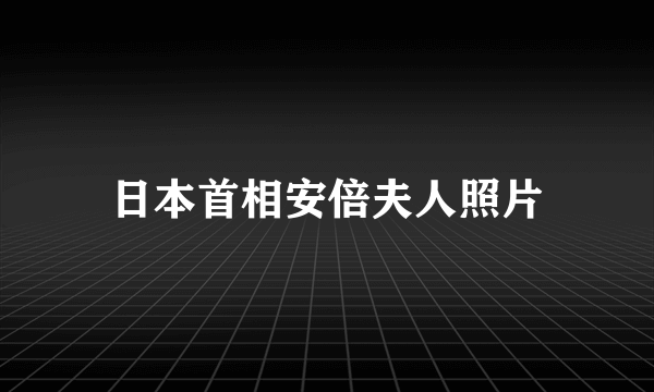 日本首相安倍夫人照片