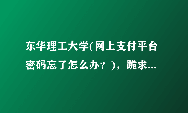 东华理工大学(网上支付平台密码忘了怎么办？)，跪求帮助！谢谢？